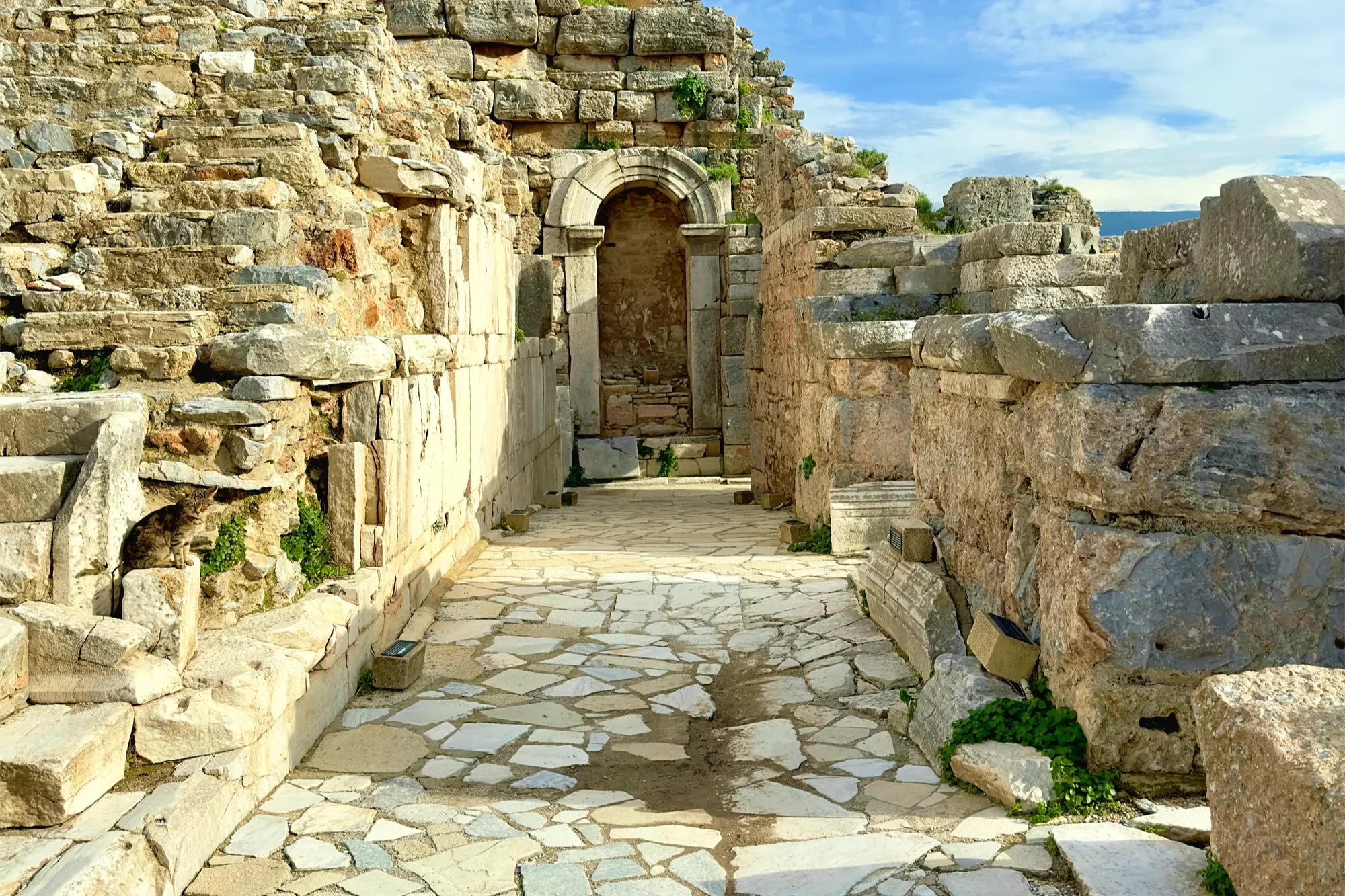 Only Ephesus - Gallery 4